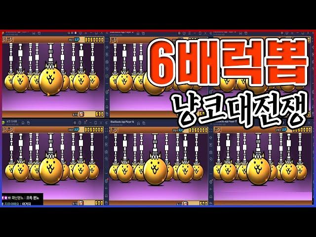 전설의 6배럭 리세마라ㅋㅋㅋ1200원=20뽑 플레티넘 티켓ㅋㅋㅋㅋ【냥코대전쟁】