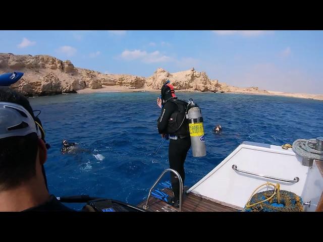 Diving in the Red Sea - Sharm El Sheikh, Egypt  - February 2020