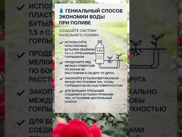  ГЕНИАЛЬНЫЙ СПОСОБ ЭКОНОМИИ ВОДЫ ПРИ ПОЛИВЕ