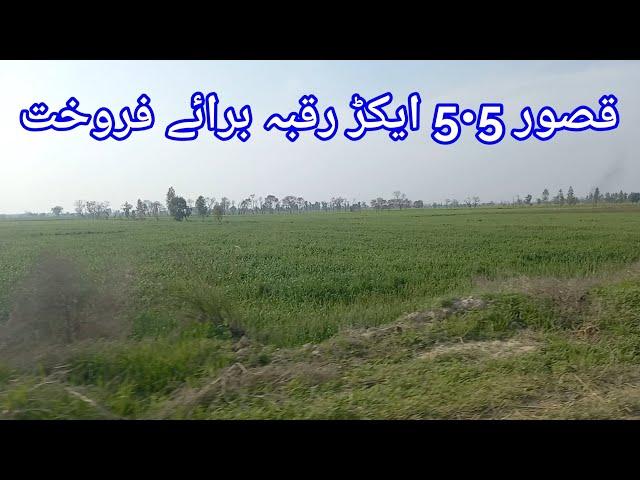 Kasur 5.5 Acre Agri Land for Sale | قصور ساڑھے پانچ ایکڑ زرعی رقبہ برائے فروخت | Factory Land Sale