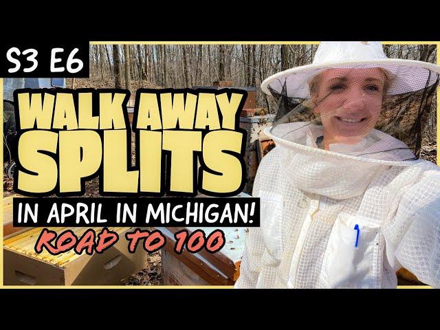 SPLITTING 24 Hives Into 55! / Beekeeping 101 #beekeeping