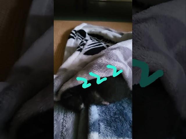 #법륜스님과함께 하는 행복학교
