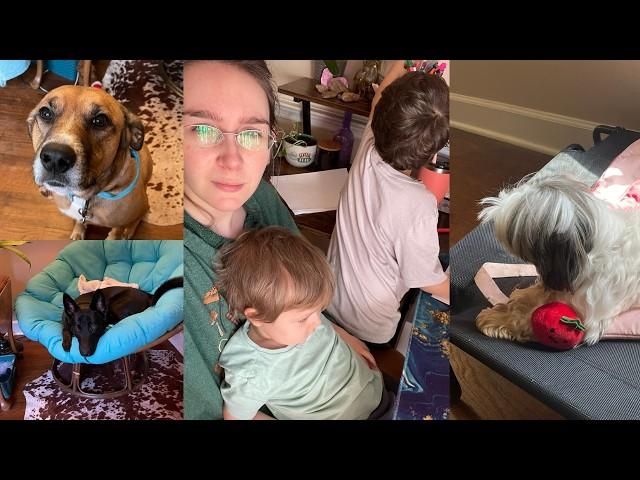 Day in the life of Mom with Fibromyalgia: Kids, Dogs, Service Dog Prospect, & Pancakes.