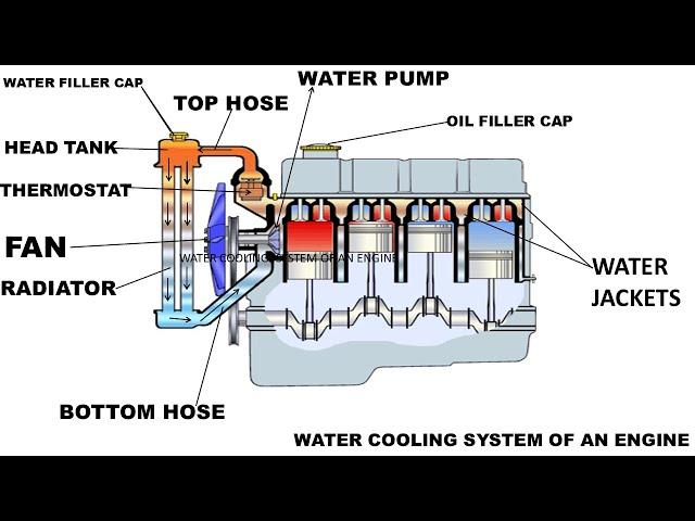 Water Cooling System of An Engine