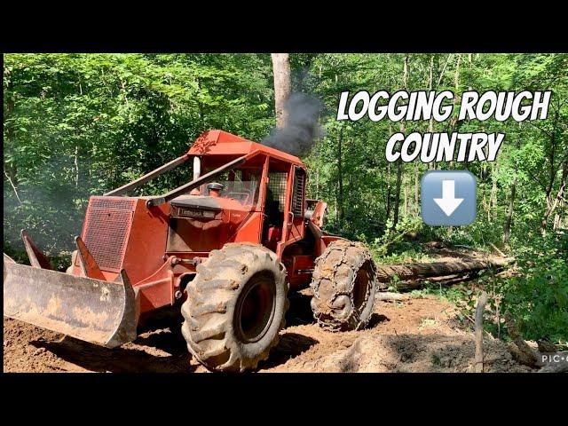 Family Logging Crew Logging Rough Country | Backwoods TN