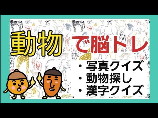 【高齢者向け脳トレ】動物についてのクイズ・漢字・文字並び替えで毎日ちょこっと脳トレ習慣を作りませんか？ゆっくりペースで脳トレしましょう！！