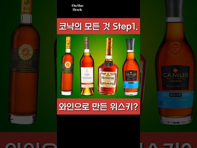 코냑의 모든 것. 와인으로 만든 위스키? 코냑에 대해 알아보자 #코냑 #꼬냑 #cognac