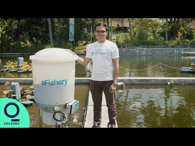 How a Passion for Fish Farming Became a Booming Business