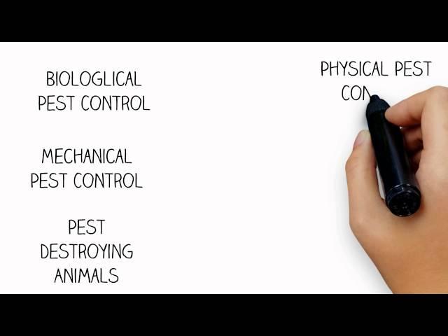 Pest Control Methods