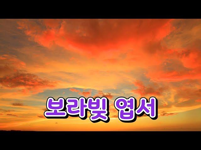 보라빛 엽서 / 설운도 노래 /  영원한방랑객 열창 / 미스터트롯