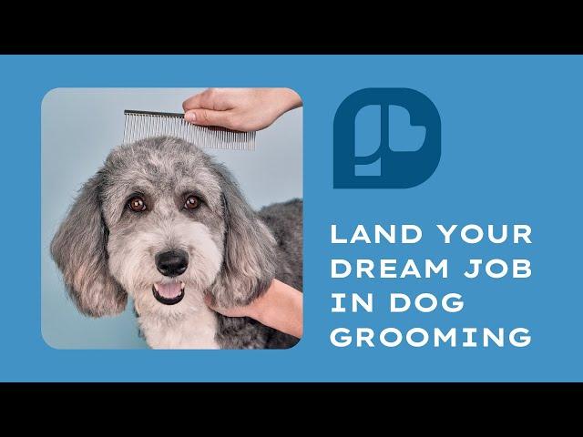 Train With Us | Paragon School of Pet Grooming