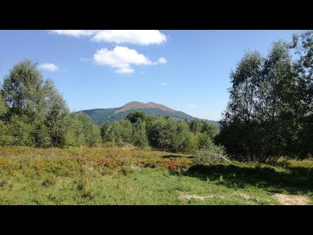 Połonina Wetlińska (Bieszczady Zachodnie) - 1255 m n.p.m.