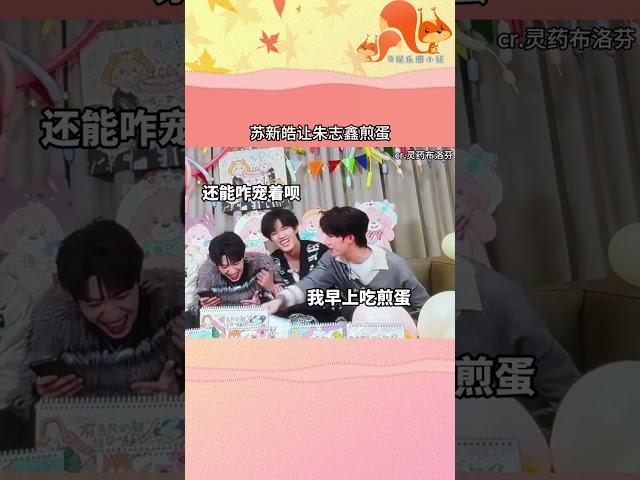 麻煩能不能給拍個視頻？！！！#朱志鑫 #蘇新皓