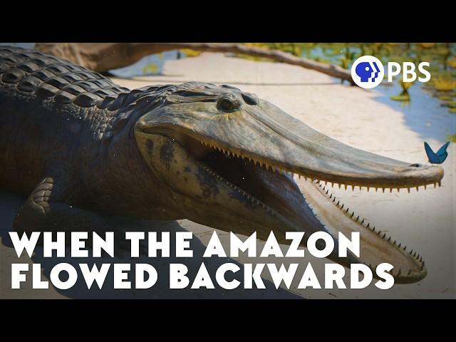 When the Amazon Flowed Backwards