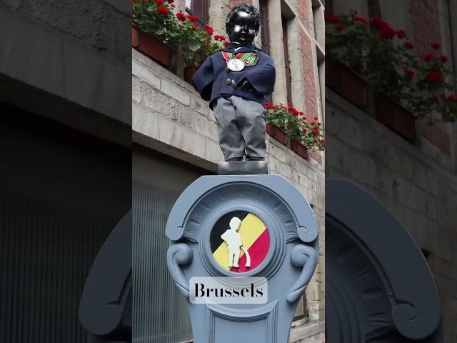 Travel  to Brussels