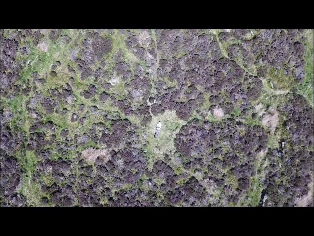 Eyam Moor & Wet Withens Stone Circle