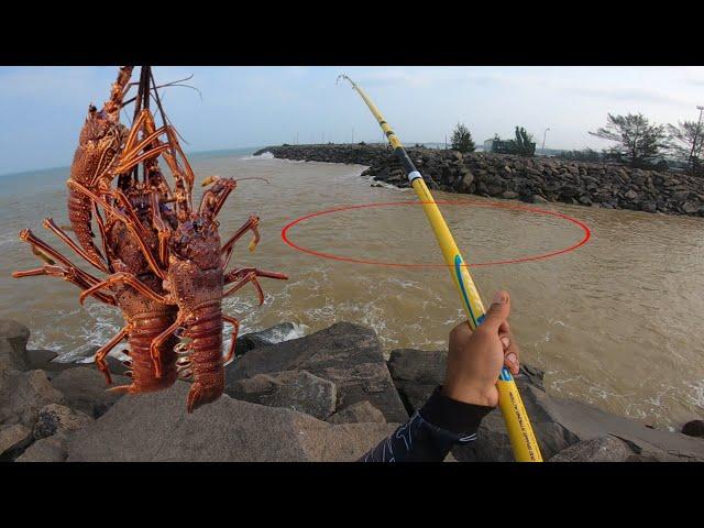 CABO DE GUERRA COM AS GIGANTES!!! Pesca da lagosta no ANZOL | SISTEMA DO CHUVEIRINHO.