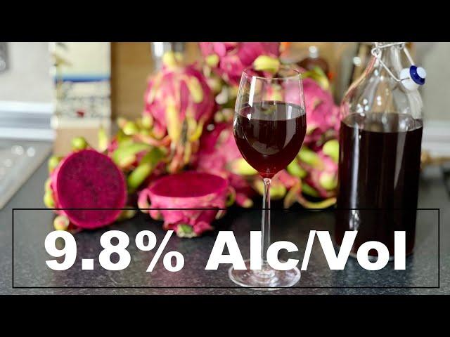 Homemade DRAGON FRUIT WINE with 9.8% of ALCOHOL