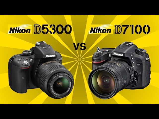 Nikon D5300 vs Nikon D7100