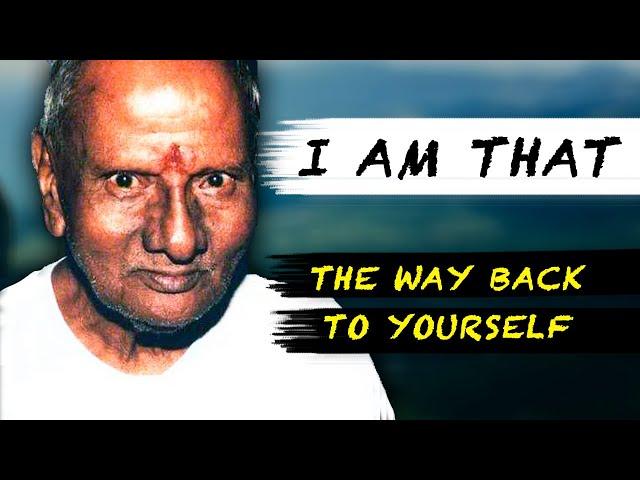 There is no such thing as a person | Nisargadatta Maharaj ( I am That )