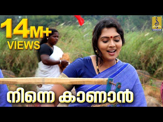 നിന്നെ കാണാൻ എന്നെക്കാളും | Ninne Kanan Ennekkalum | നല്ലമ്മ നാടൻ പാട്ട് | Durga Viswanath | Folk