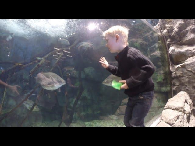 My Son Sabotages the Bass Pro Shop Aquarium VLOG - Tommy's Birthday