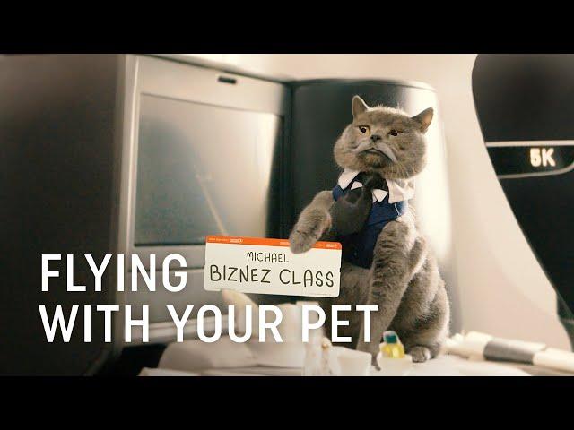 Flying with Your Pet - Turkish Airlines