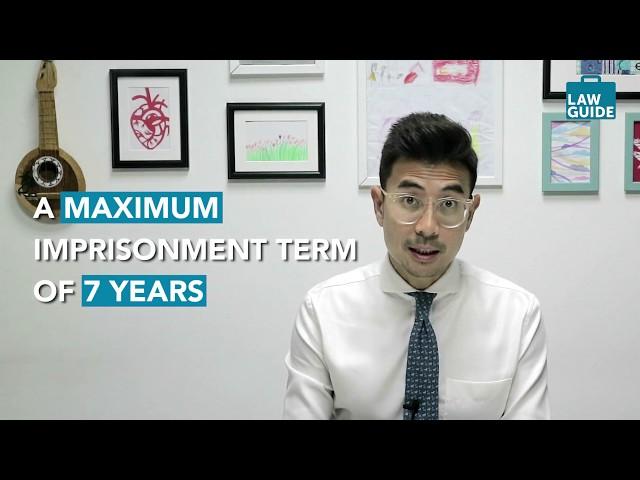 LawGuide Nuggets - Different Types of Criminal Courts in Singapore [EP 15]