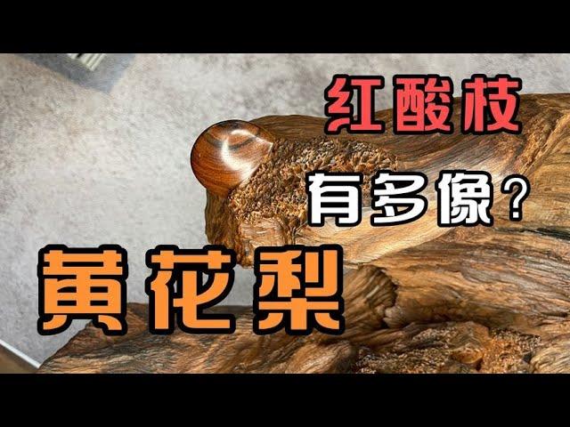 每日一宝！老挝大红酸枝和海南黄花梨你能分清吗？