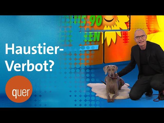 Wollen die Grünen ein Haustier-Verbot? | quer vom BR