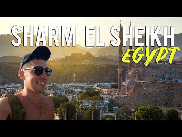 6 THINGS TO DO IN SHARM EL SHEIKH EGYPT 