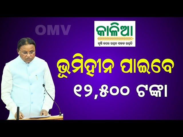 Kalia Yojana Big Update 30th August | CM Kisan Money Transfer - Odisha Mobile Video