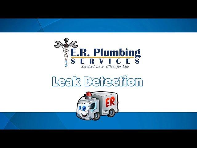 Charlotte Leak Detection