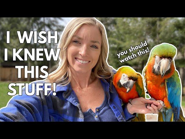 10 Things You Should Know BEFORE YOU GET A PET BIRD