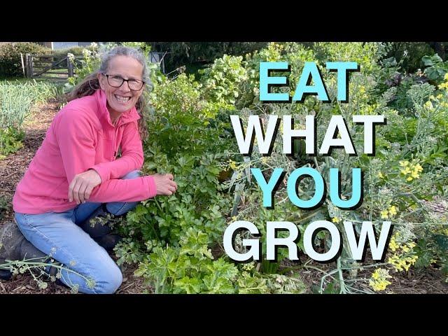 Eat What You Grow | Making Stock Paste and Soup | Permaculture Life