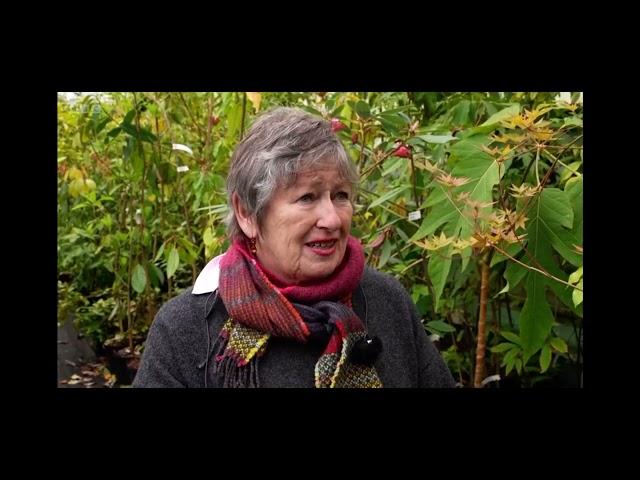 BBC Wales Today 20/05/2024