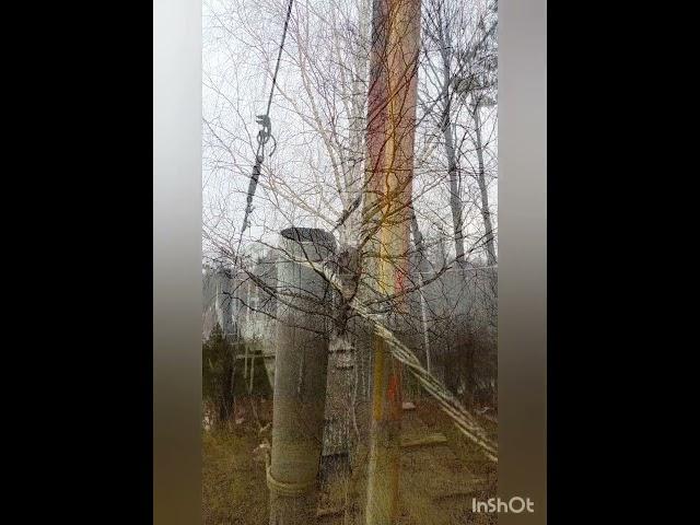 Экотропа Нижний 800 в ноябре 2024 года. Однодневный поход.