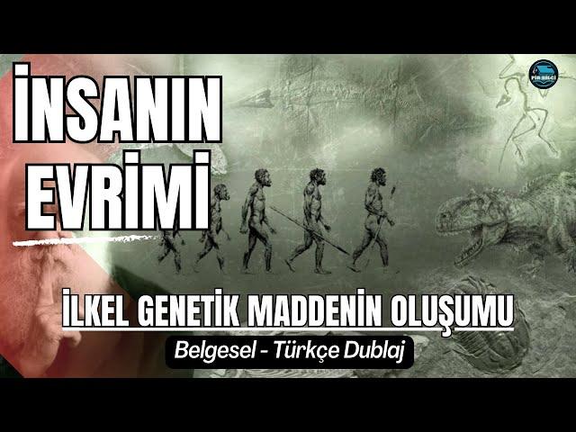 İnsanın Evrimi | Belgesel | Türkçe | İnsanlığın Destansı Yolculuğu | İlkel Genetik Maddenin Oluşumu