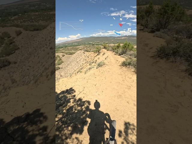 POV: Big Mountain Freeriding in Western Colorado  #shorts #bike #freeride