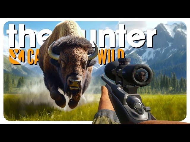 The BIGGEST BISON I have EVER seen! | theHunter: Call of the Wild