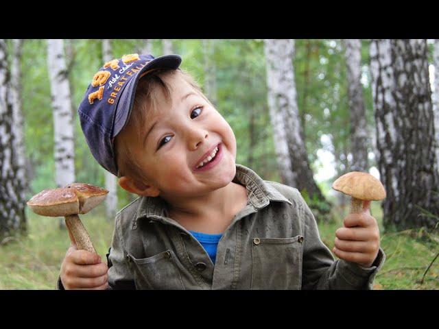 Песенки для Детей Трали - Вали.