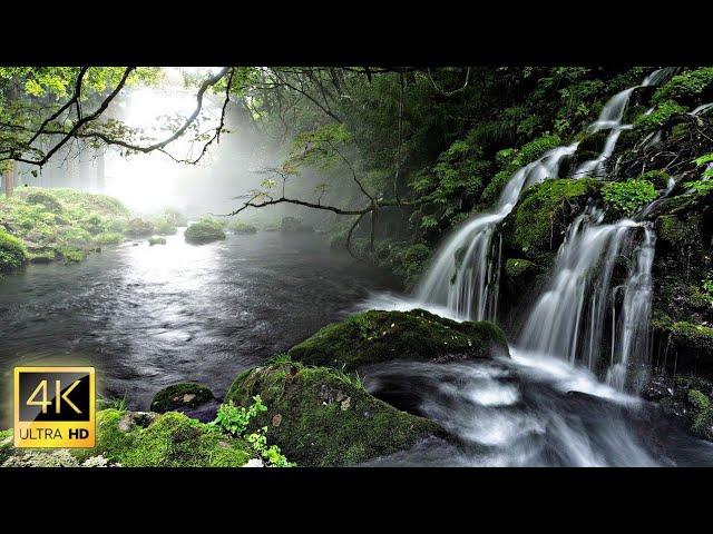 Vídeo Lindo Com Imagens De Rios - Cascatas e Riachos  Em 4K