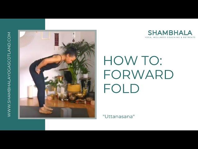 How to Yoga Tips & techniques for forward bending