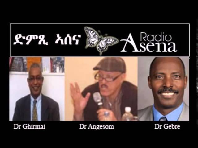 Voice of Assenna: Panel Discussion on the Eritrean Constitution, Mon, Feb 2nd, 2015