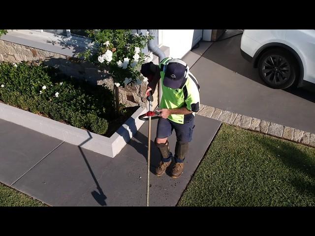 Camden Garden Solutions - Cylinder Lawn Mowing