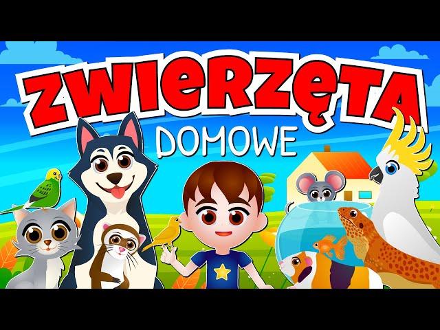 Kazio i ZWIERZĘTA DOMOWE dla dzieci  Film edukacyjny | Bajka o zwierzętach domowych