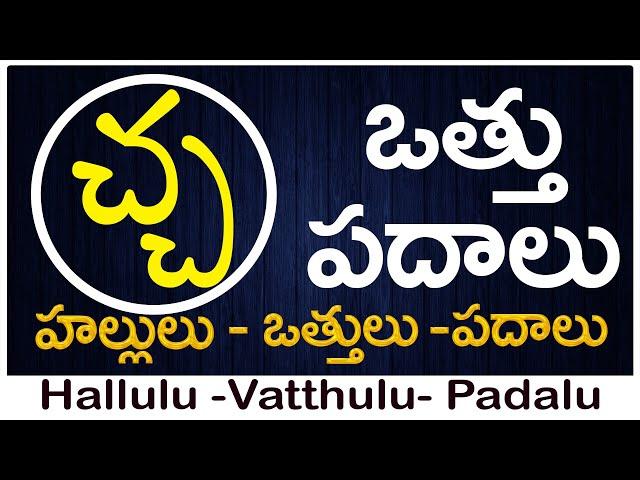 Cha Vattu Padalu | How to write Cha vattu | చ వత్తు పదాలు | Hallulu vatthulu padalu in telugu