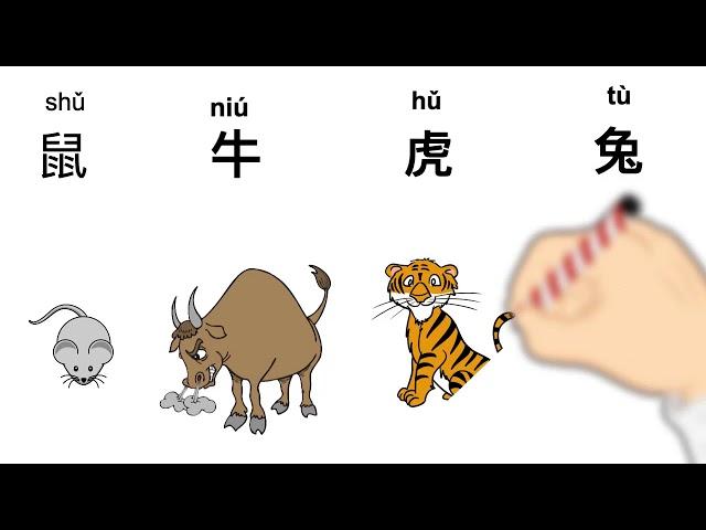 学中文十二生肖属相词汇+句型“你属什么”Learn Chinese Zodiac animals