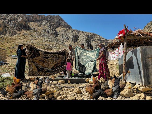 Nomadic lifestyle in the mountains | how nomads live in the mountains without facilities