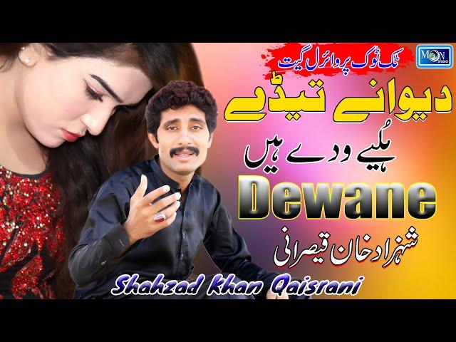 Dewany Tedy Holy Wady Hain - Shahzad Khan Qaisrani - Latest Saraiki Song - Moon Studio Pakistan